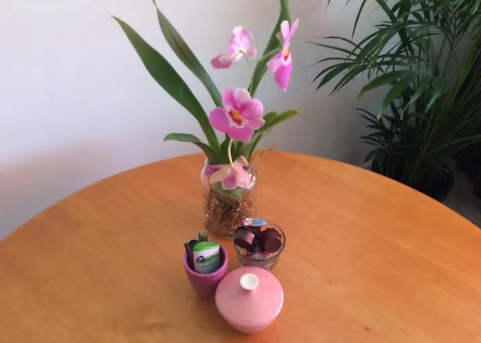 Frühstückspension Imagine My Rotterdam