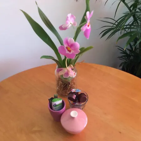 住宿加早餐酒店 义曼哥尼住宿加早餐旅馆 鹿特丹