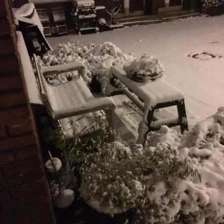 Imagine My 로테르담