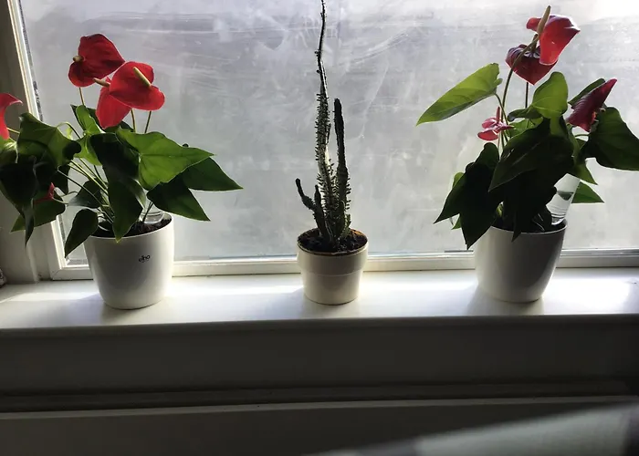 Imagine My 3* Rotterdam